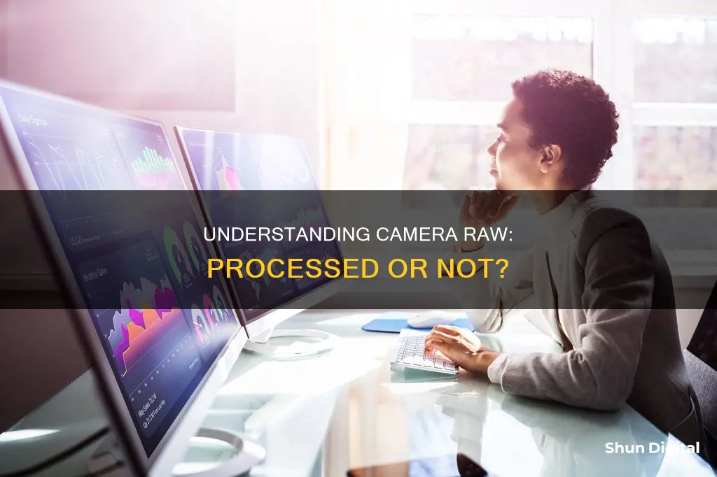 is a camera raw a processed image