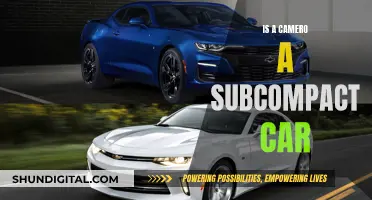 Camaro: Subcompact or Muscle Car?