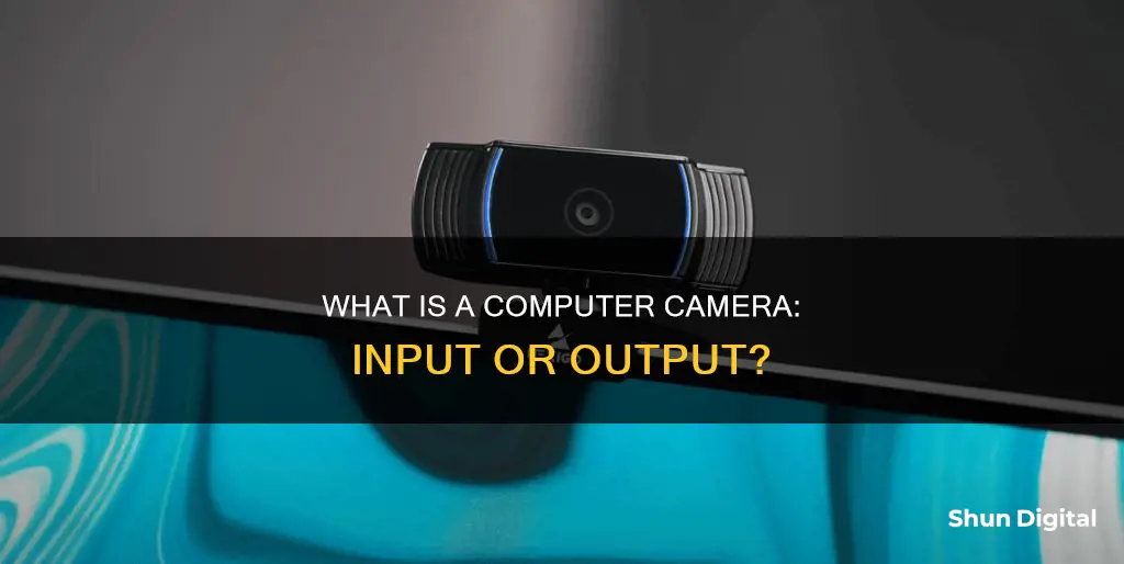 is a computer camera input or output