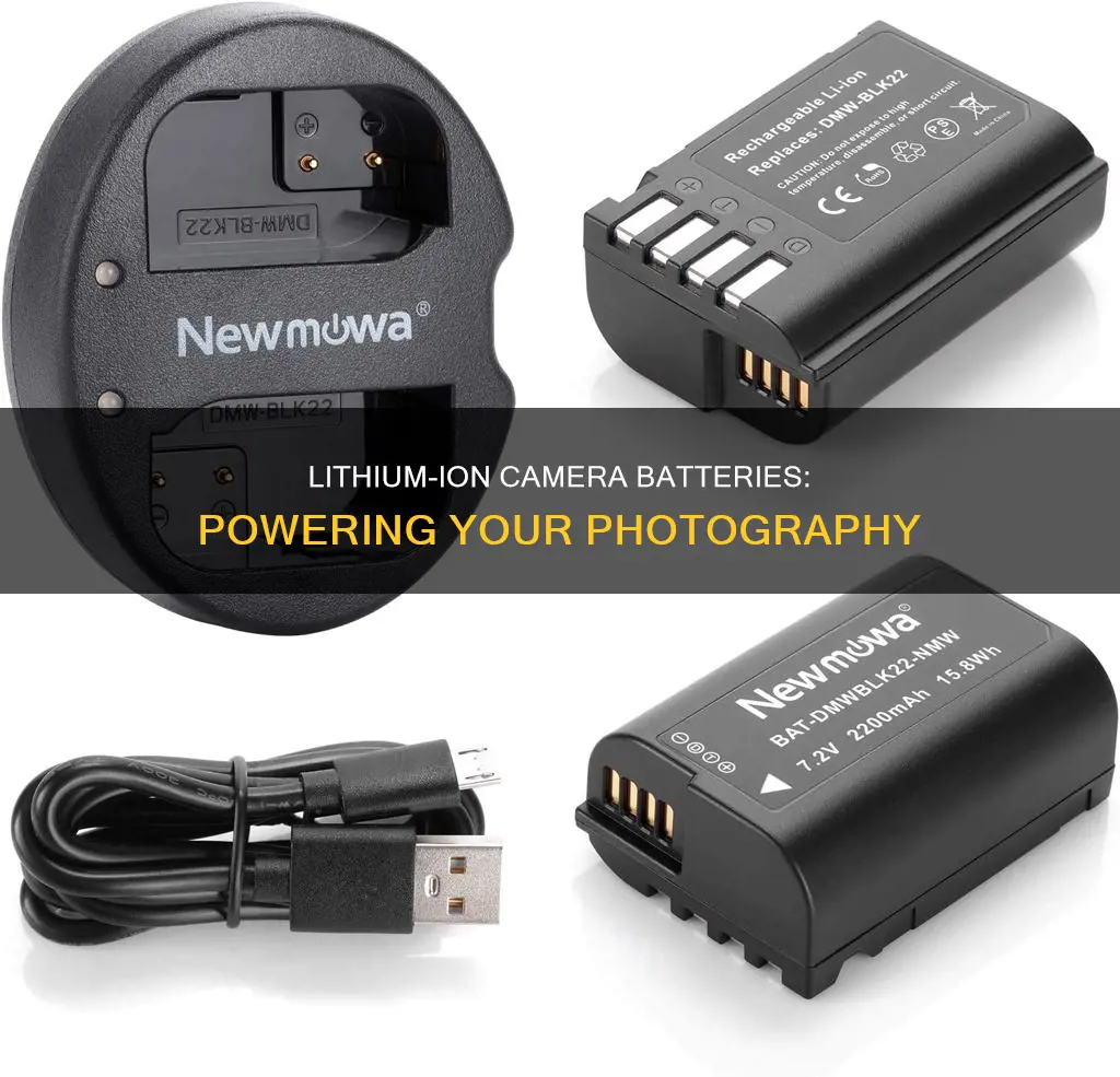 is a newmowa camera battery lithium ion