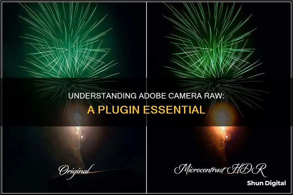 is adobe camera raw a plug in