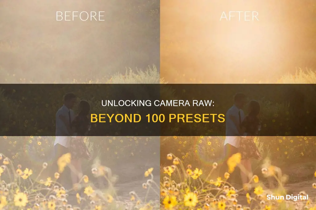 is adobe camera raw limited to 100 presets