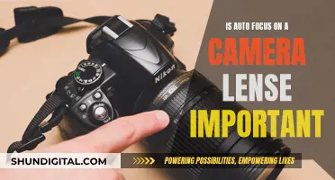 Autofocus Camera Lenses: Essential Feature or Gimmick?