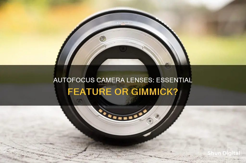 is auto focus on a camera lense important