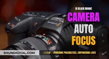 Black Magic Camera's Superpower: Auto Focus