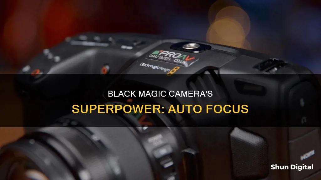 is black magic camera auto focus