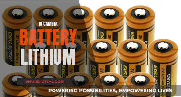 Lithium Batteries: Powering Your Camera