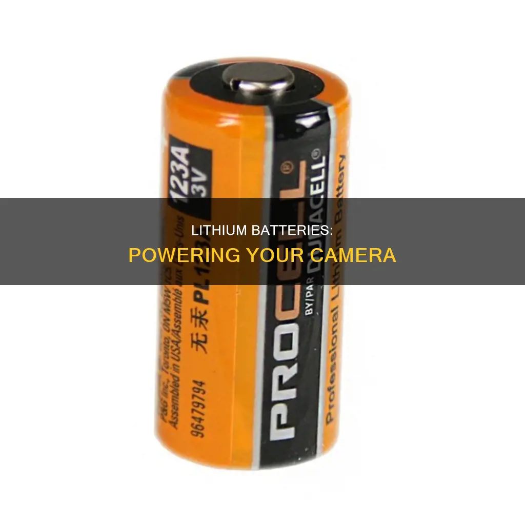 is camera battery lithium