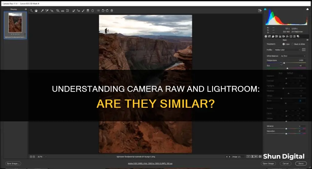 is camera raw and lightroom the same