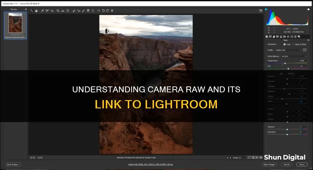 is camera raw converter separate from lightroom