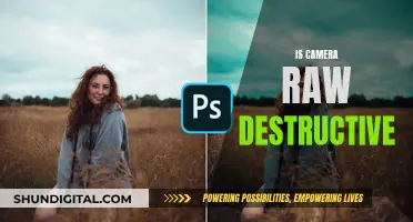 Understanding Camera Raw: Destructive or Not?