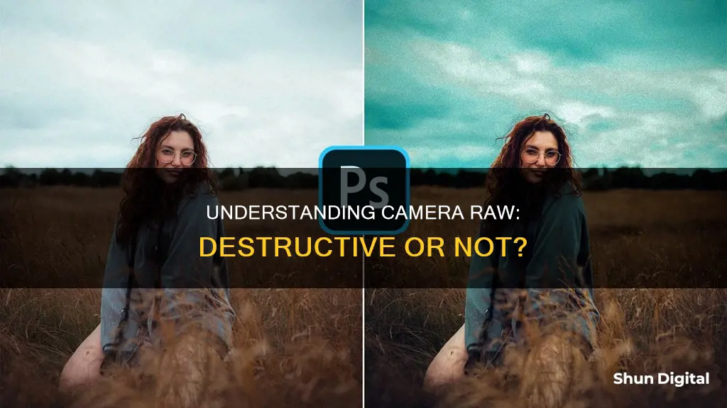 is camera raw destructive