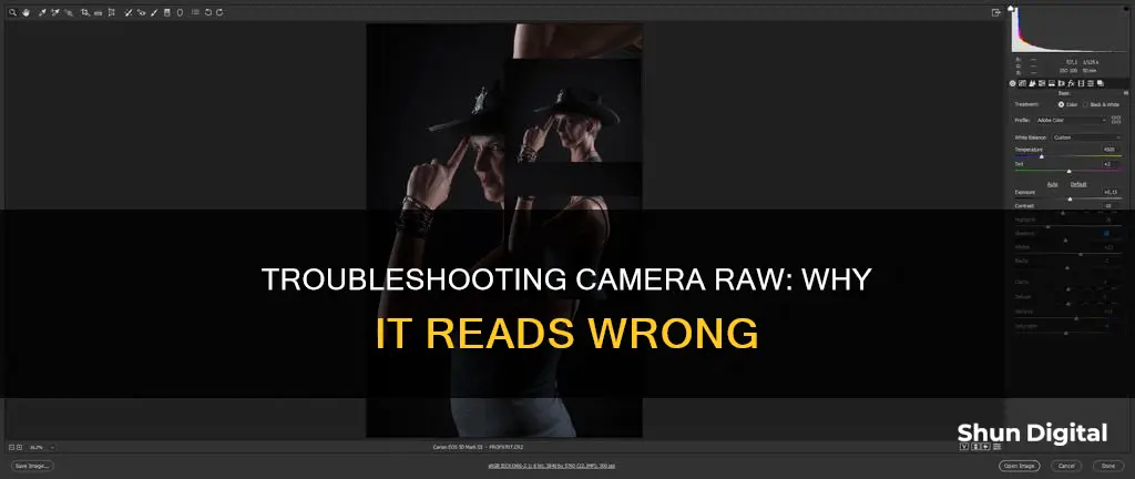 is camera raw reading wrong