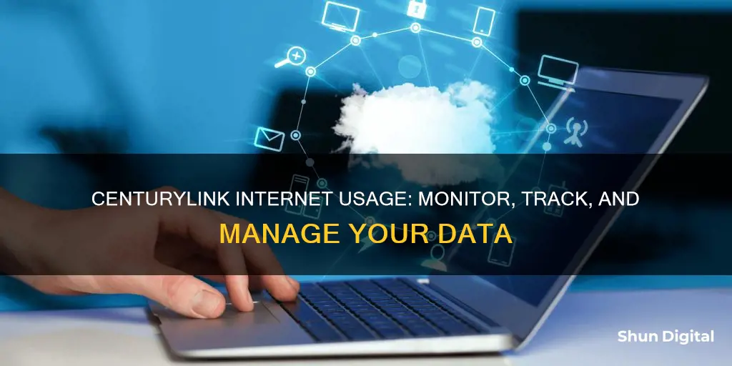 is centurylink monitor internet usage