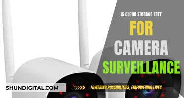 Free Cloud Storage for Camera Surveillance: Is It Possible?