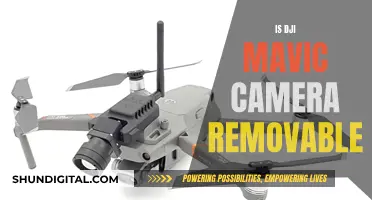 Can the DJI Mavic's Camera Be Removed?