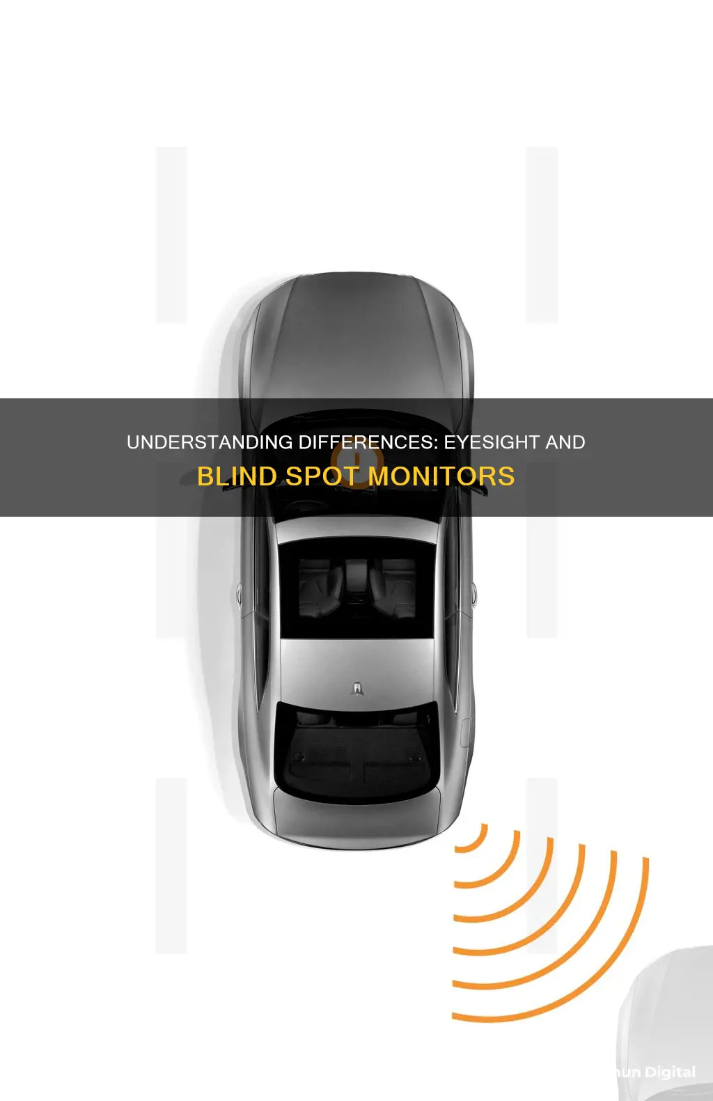 is eyesight same as blind spot monitor