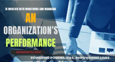 Performance Management: Strategies for Organizational Success