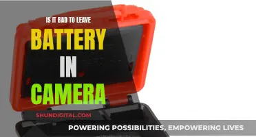 Leaving Batteries in Cameras: Good or Bad?