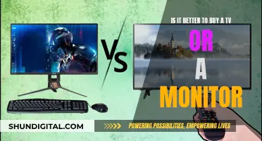 TV or Monitor: Which Should You Buy?