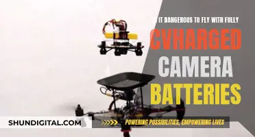 Flying with Fully Charged Camera Batteries: Safe or Not?