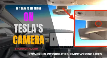 Tesla Cameras: Easy Viewing or Privacy Concern?