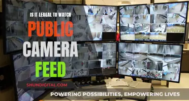 Public Camera Feeds: Are They Legal to Watch?