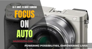 Auto-Focus: Friend or Foe for Photographers?