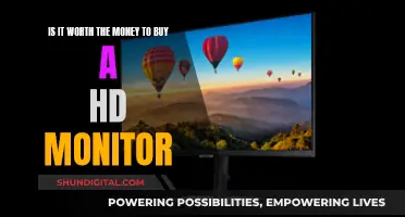 HD Monitors: Worth the Money or Wasteful Spending?