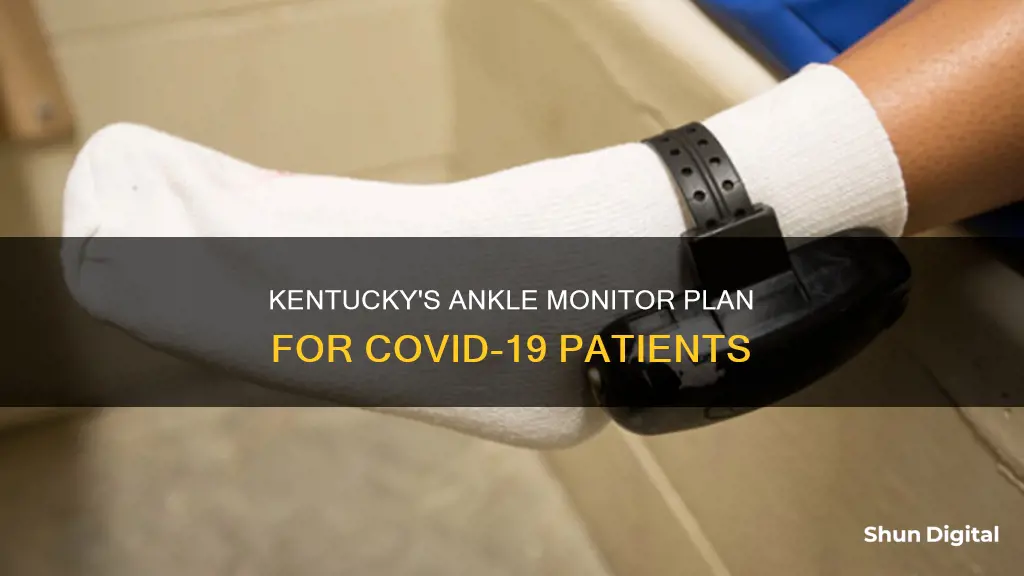 is kentucky putting ankle monitors on corona patients