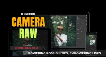 Lightroom and Camera Raw: What's the Difference?