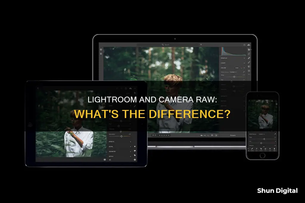 is lightroom camera raw