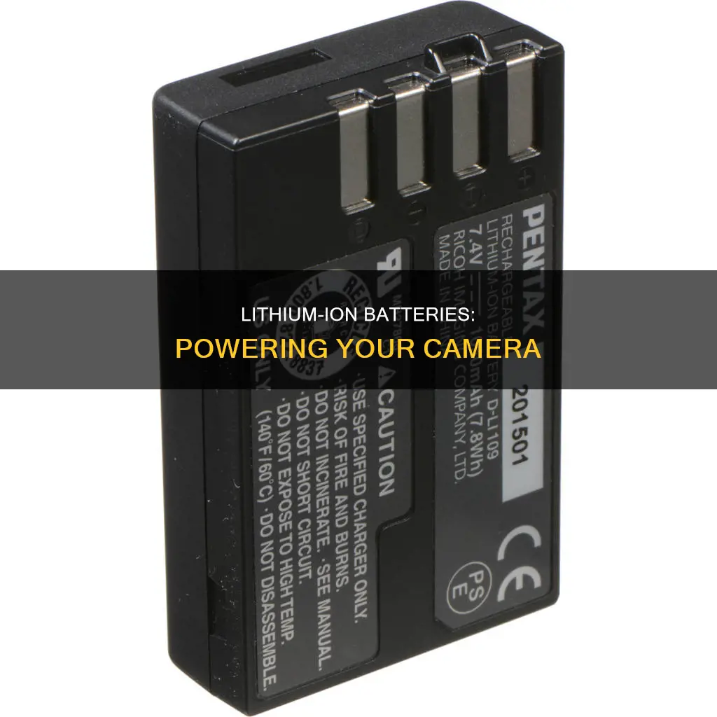 is lithium camera battery an ion cell