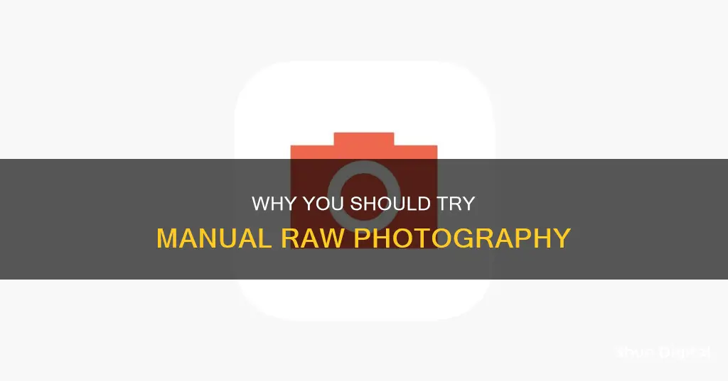 is manual raw camera