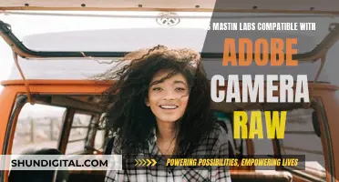 Mastin Labs and Adobe Camera Raw: A Perfect Match?