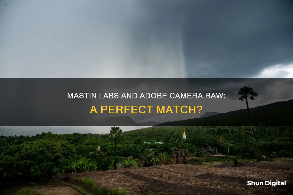 is mastin labs compatible with adobe camera raw