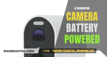 Momentum Camera: Battery Power Options Explored