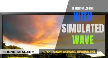 LCD Monitors: Simulated Wave, Real Impact?