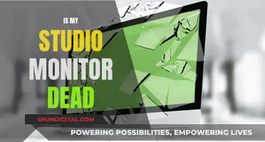 Troubleshooting Studio Monitor: Is It Dead?