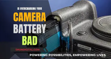 Overcharging Camera Batteries: Good, Bad, or Indifferent?