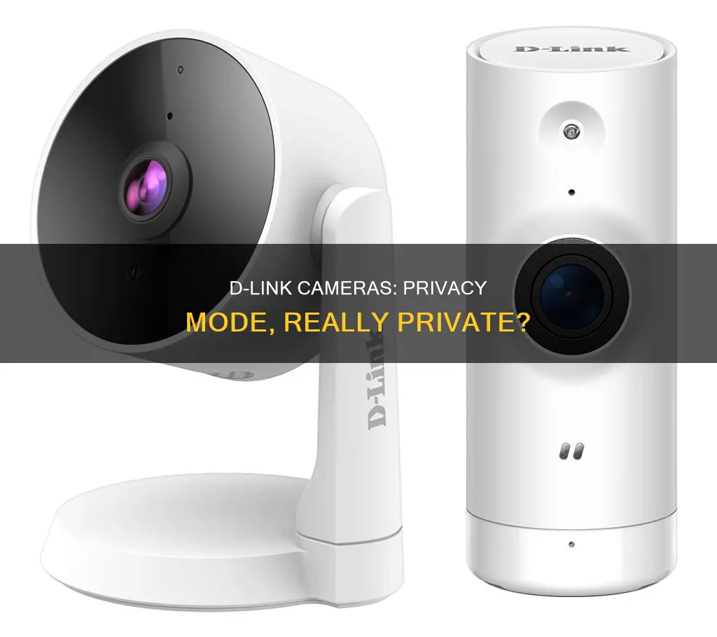 is privacy mode on dlink cameras really private