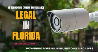 Florida's Residential Camera Surveillance: What's Legal?