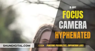 Soft-Focus Camera Conundrum: Hyphenating Photography Terms