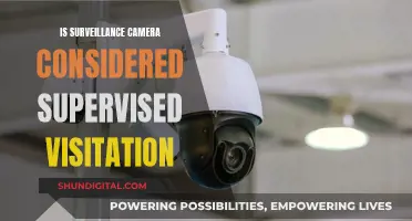 Surveillance Cameras: Supervised Visitation or Privacy Invasion?