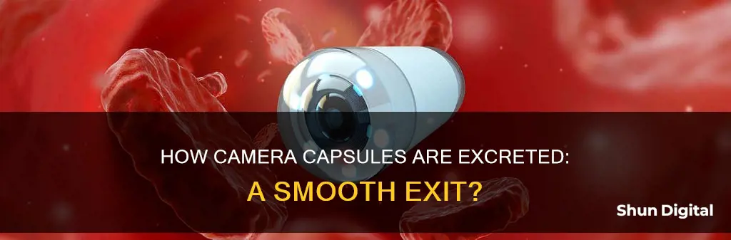 is the camera capsule easy to see when excreted