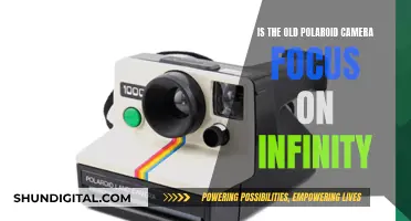 Polaroid Camera Focus: Infinity and Beyond?