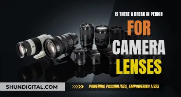 Understanding Camera Lenses: Break-In Periods and Performance