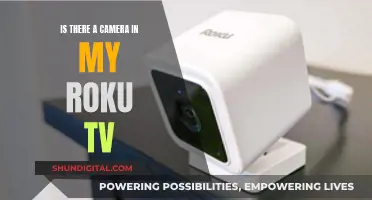 Can Roku TVs Spy on You?