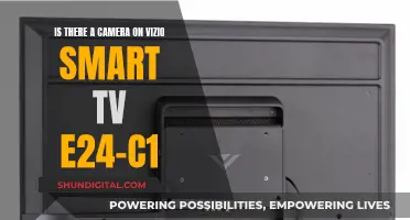 Vizio E24-C1: Does This Smart TV Have a Camera?