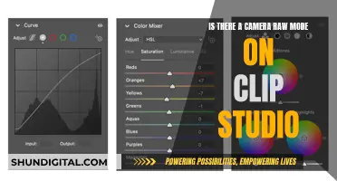 Clip Studio's Camera Raw Mode: Pros and Cons